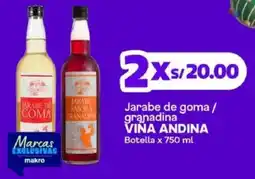 Makro Vina Andina jarabe de goma/granadina oferta