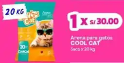 Makro Cool Cat arena para gatos oferta