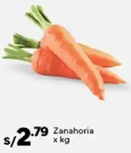 Plaza Vea Zanahoria oferta