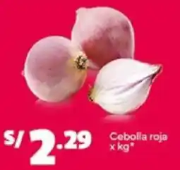 Plaza Vea Cebolla roja oferta