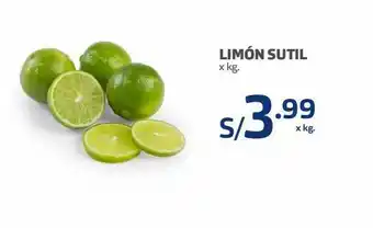 Makro Limón sutil x kg oferta