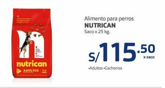 Makro Alimento para perros nutrican 25kg oferta