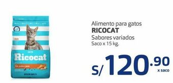 Makro Alimento para gatos ricocat 15kg oferta