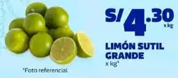 Makro Limón sutil grande oferta