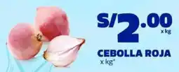 Makro Cebolla roja oferta