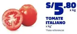 Makro Tomate italiano oferta