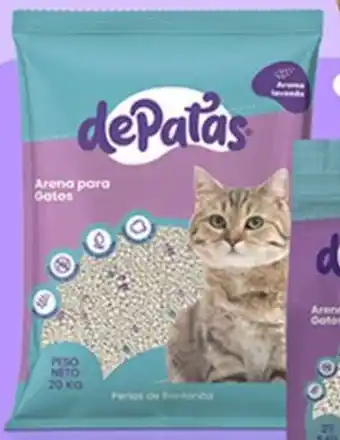 De patas arena para bl