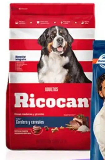Ricocan alimento para perros adulto sabores variados bl