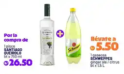 Plaza Vea Santiago Queirolo pisco + Schweppes oferta