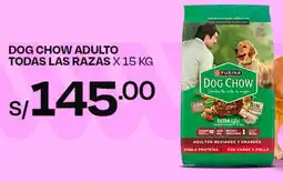 Wong Dog chow adulto todas las razas oferta