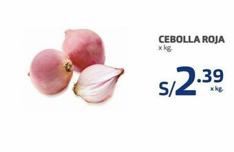Makro Cebolla roja x kg oferta