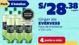 Makro Evervess ginger ale oferta