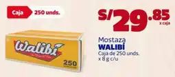 Makro Walibí mostaza oferta