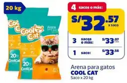 Makro Cool cat arena para gatos saco oferta