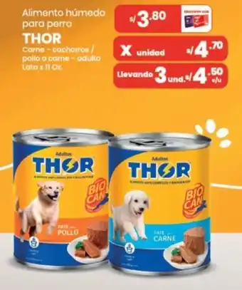 Thor alimento húmedo para perro