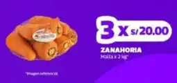 Makro Zanahoria malla oferta