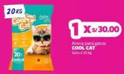 Makro Cool cat arena para gatos saco oferta