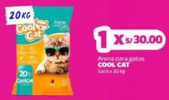 Cool cat arena para gatos saco