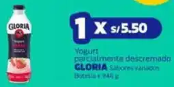 Makro Gloria yogurt parcialmente descremado sabores variados botella x oferta