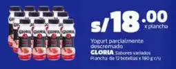 Makro Gloria yogurt parcialmente descremado sabores variados oferta