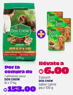 Plaza Vea Dog chow alimento seco oferta