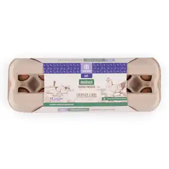 Tottus Huevos organicos tottus x12 und oferta