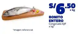 Makro IQF bonito entero congelado oferta