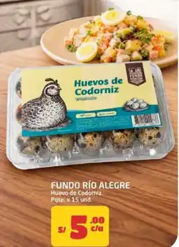 MaxiAhorro Fundo río alegre huevo de codorniz pqte. oferta