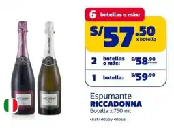 Makro Riccadonna espumante botella oferta