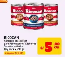 MaxiAhorro Ricocan alimento en trocitos para perro adulto/ cachorros sabores variados doy pack oferta