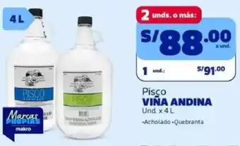 Makro Viña andina pisco oferta