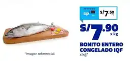 Makro Bonito entero congelado iqf oferta