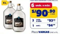 Makro Vargas pisco oferta