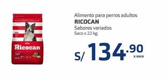 Makro Comida para perros ricocan oferta