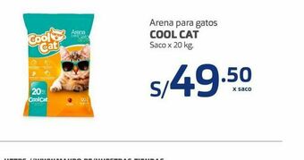 Makro Arena para gatos cool cat oferta