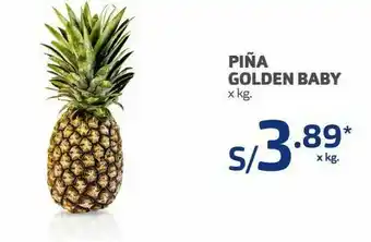 Makro Piña golden baby x kg. oferta