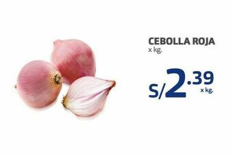 Makro Cebolla roja x kg. oferta