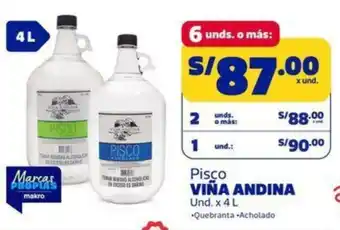 Viña andina pisco