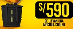 Wong Se llevan una mochila cooler oferta
