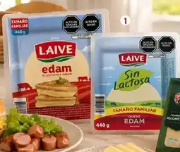 Plaza Vea Laive queso en tajadas edam / edam sin lactosa / mozzarella pq oferta