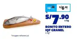 Makro Bonito entero iqf granel oferta