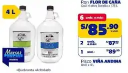 Makro Pisco viña andina oferta