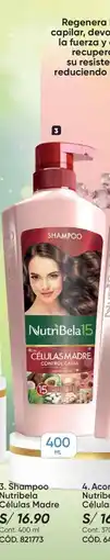 Azzorti Nutribela Shampoo Células Madre oferta