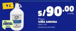 Makro Viña Andina Pisco oferta