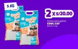 Makro Cool Cat arena para gatos oferta