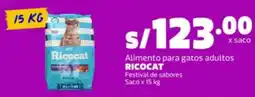 Makro Ricocat alimento para gatos adultos oferta