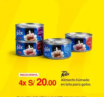Felix Alimento húmedo en lata para gatos