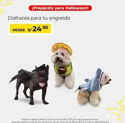 Metro Disfraces para tu engreído oferta