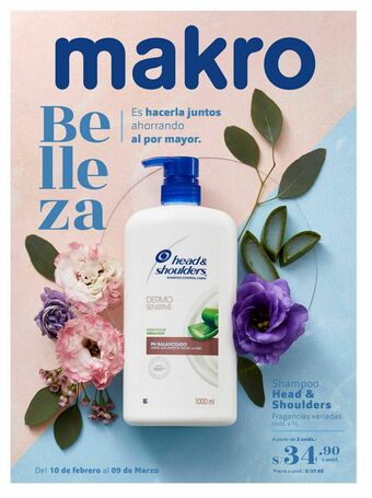 Makro Shampoo head & shoulders oferta