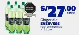 Makro EverveSS ginger ale oferta